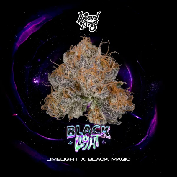 Black Light